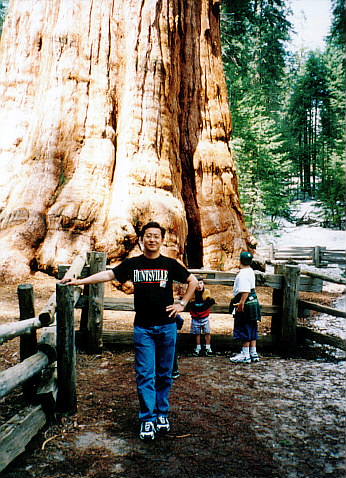 Sequoia14.jpg (132793 oCg)