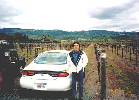 napa01.jpg (107223 oCg)