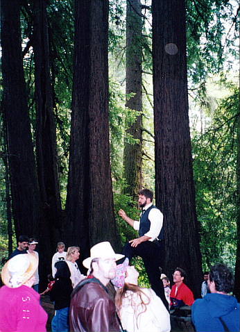 redwood3.jpg (123409 oCg)