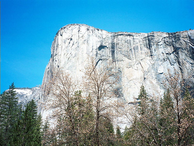 4 Yosemite3.jpg